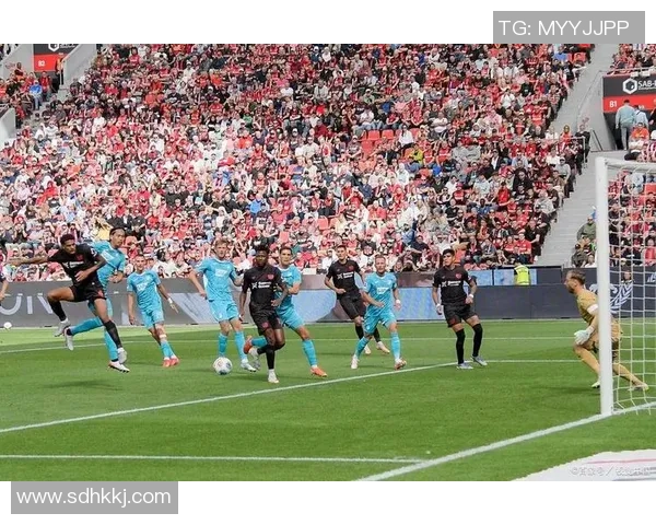 世界杯精彩对决多特蒙德逆转莱比锡全场沸腾战术解析